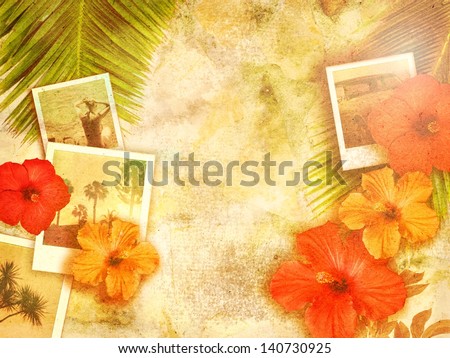 tropical photo background