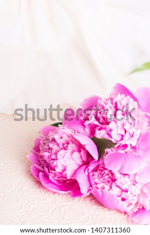 Delicate pink peonies on white background.