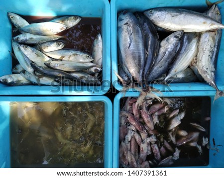 tuna, mackerel fish, squid, gourami, tilapia, and shrimp in a container in the traditional market. seafood. Indonesian food.