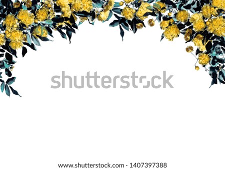 Material of rose floral graphics