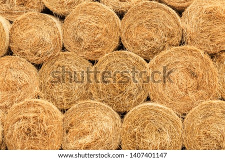 Round straw bales haystack on farmland