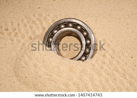 bearing isolated on yellow sand