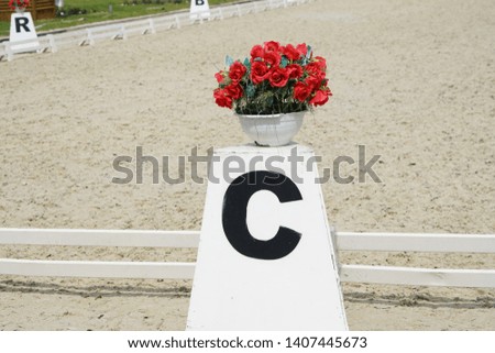 Letter C and red roses in vases ,letters of the alphabet from the hippodrome