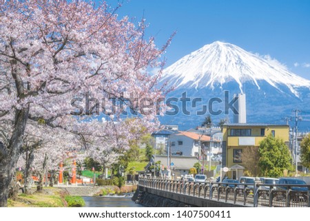 Cherry blossom and mount Fuji in sprint season at Fujinomiy City, Shizuoka prefecture, Japan Royalty-Free Stock Photo #1407500411