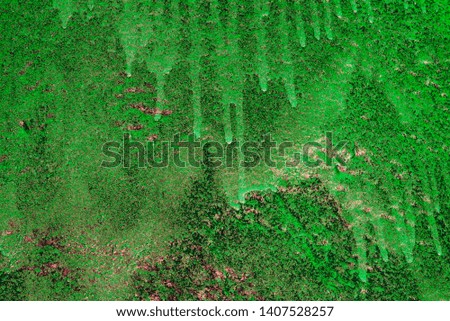 Green painting abstract background texture 