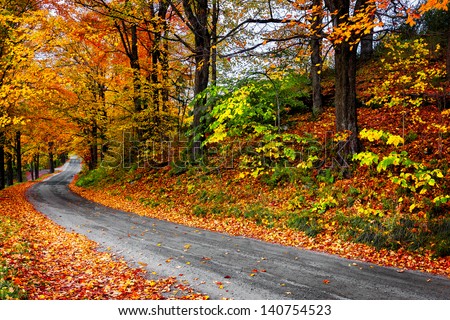 Autumn landscape with bright colorful orange and red trees and leaves along a winding country road