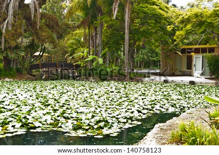 Bed of lily pods in front of hotel room entrance