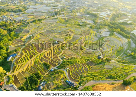 Aerial view of early summer Japanese rice terraces