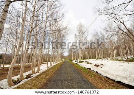 mountain road with snow