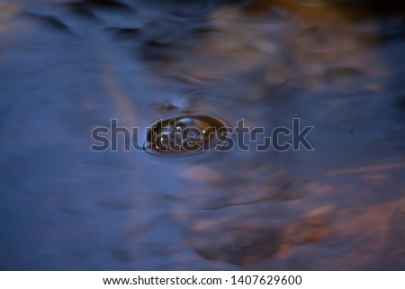 Bubbles on the water. Swift stream. Beautiful water background. Water in the spring forest. Beauty of nature. Natural background. Background for meditation. Photography macro