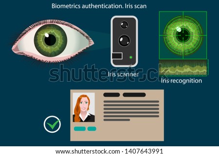 Abstract vector infographics: Iris scan - biometric authentication method diagram. Method is used to person identify, access control, in security systems Royalty-Free Stock Photo #1407643991