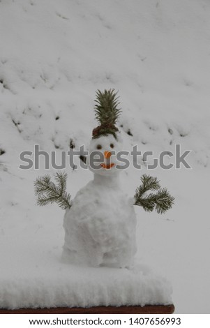 Suddenly there was a big snowfall. A funny snowman was made of snow.