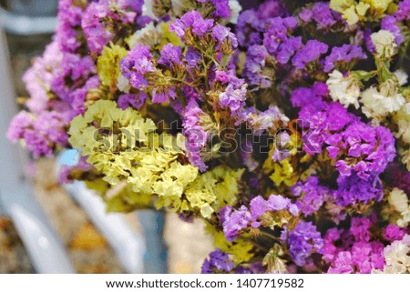Statice mix colour pink purple white yellow beautiful dry flowers - Image.jpeg