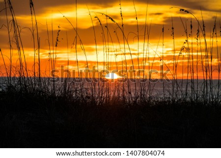 Epic Sunrise Pictures of the Beach 