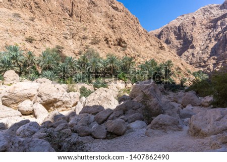 Rocky Omani Valley - Wadi Shab, path surrounded by rocks and stones, palm trees and high mountain slopes. 