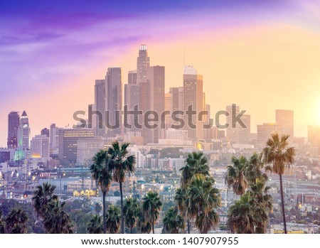 Amazing sunset view with palm tree and downtown Los Angeles. Cal