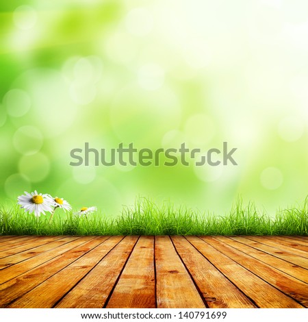 Fresh spring green grass and white flower camomile with green bokeh and sunlight and wood floor. Beauty natural background