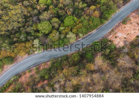 Aerial top down view over curve shape path among green forest in summer.