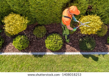 Professional Gardener and the Large Backyard Garden. Top View. Spring Time Maintenance. Trimming Trees and Plants. Royalty-Free Stock Photo #1408018253