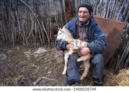 A very old man in messy clothes is sitting on a stool in the yard of an old farm and holding a white goat on his hands, life on an old farm