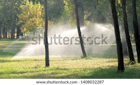 Automatic sprinkler system watering the lawn. Automatic irrigating system watering green grass lawn outdoor. Irrigation equipment in city park.