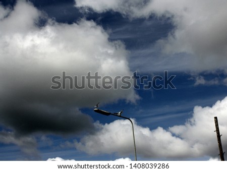 Two seagulls starting to fly away in Invergordon, Scotland, United Kingdom