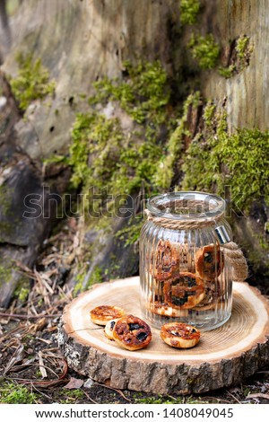 Slice of tree on ground near moss stump  with jar of cookies
