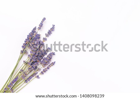 bouquet of violet lilac purple lavender flowers arranged on white table background. Top view, flat lay mock up, copy space. Minimal background concept. Dry flower floral composition isolated on white