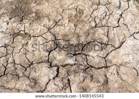 Gray background of dried cracked earth
