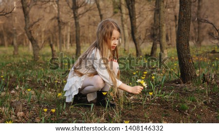 Сute little girl collects a bouquet of primroses in the meadow. Botany, herbarium. Nature study concept Royalty-Free Stock Photo #1408146332