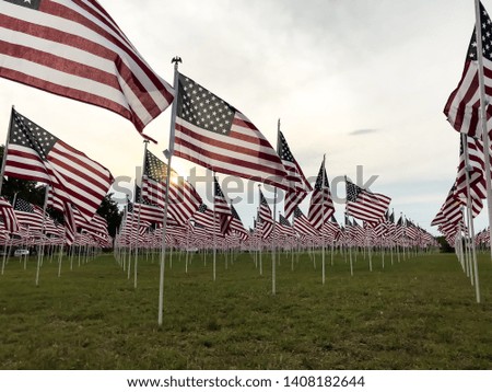 Field of many American flags for USA Memorial Day and Fourth of July holiday concept.
