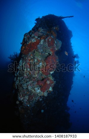 Libety wreck, underwater world, artificial reef. Clear blue sea. Tulamben, Bali, Indonesia. 