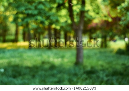 Natural blurred city park background. Soft light effect. Retro filtered. Beauty world.