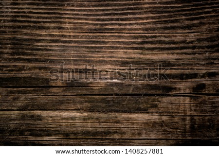 Texture of old wood. Background image. Macro photo.