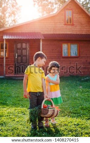 Children brother sister background wooden house with large basket full vegetables grown ecological garden. Healthy baby food from natural vegetables. Summer family vacation. BIO ECO Sunset solar light
