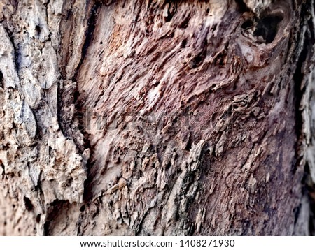The​ bark of​ the​ tree​ that has​ fallen off Royalty-Free Stock Photo #1408271930