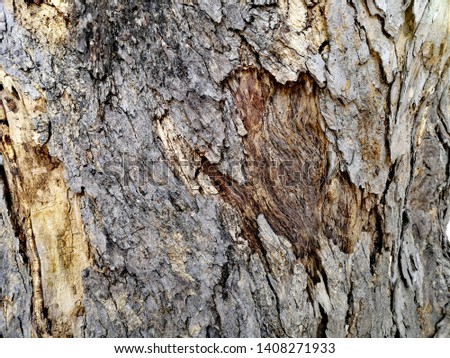 The​ bark of​ the​ tree​ that has​ fallen off Royalty-Free Stock Photo #1408271933