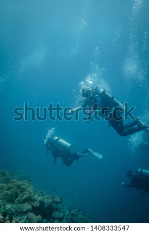 Scuba divers in Anilao Philippines