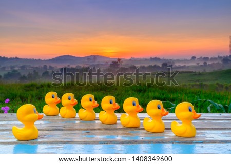 Plastic yellow duck toy  in a  formation during beautiful sunrise.