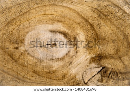 closeup natural plank texture and wood pattern of gnarl background.