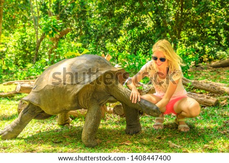 Happy tourist woman touches curiously Aldabra Giant Tortoise, species Aldabrachelys gigantea which stretches wrinkled neck. Curieuse, Nature Reserve, Seychelles, Indian Ocean. Turtle Sanctuary. Royalty-Free Stock Photo #1408447400