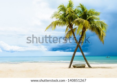 Beautiful beach with palms, Thailand
