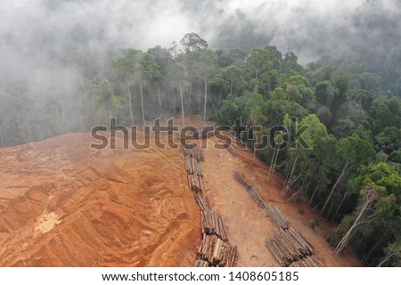 Deforestation. Aerial photo of logging in Malaysia rainforest 