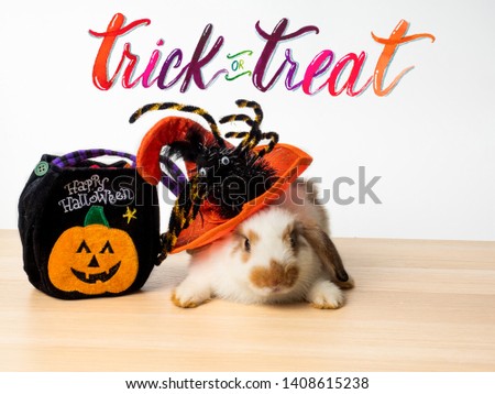 Cute little rabbit with Halloween witch's hat decorated with big spider, and black cloth bag with pumpkin design put next to bunny. Trick or Treat hand written calligraphy painted with watercolor.