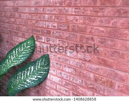 Red bricks are the best raw material for construction. The red bricks background.