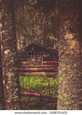 Abandoned wooden cabin in ruins 