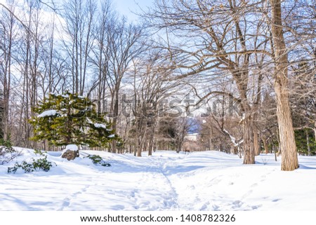 Beautiful landscape with tree in snow winter season for travel at Hokkaido Japan