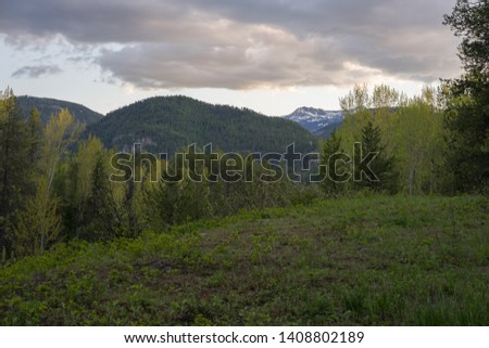 Green pastures with mountains in the back