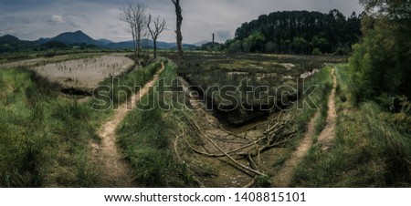 Path through the marshes in the Biosphere Reserve of Urdaibai during a cloudy day in the Basque Country, Spain