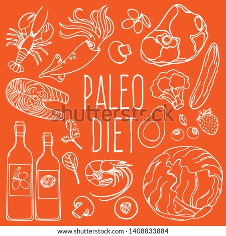 PALEO INGREDIENTS Healthy Food Diet Vector Illustration Set